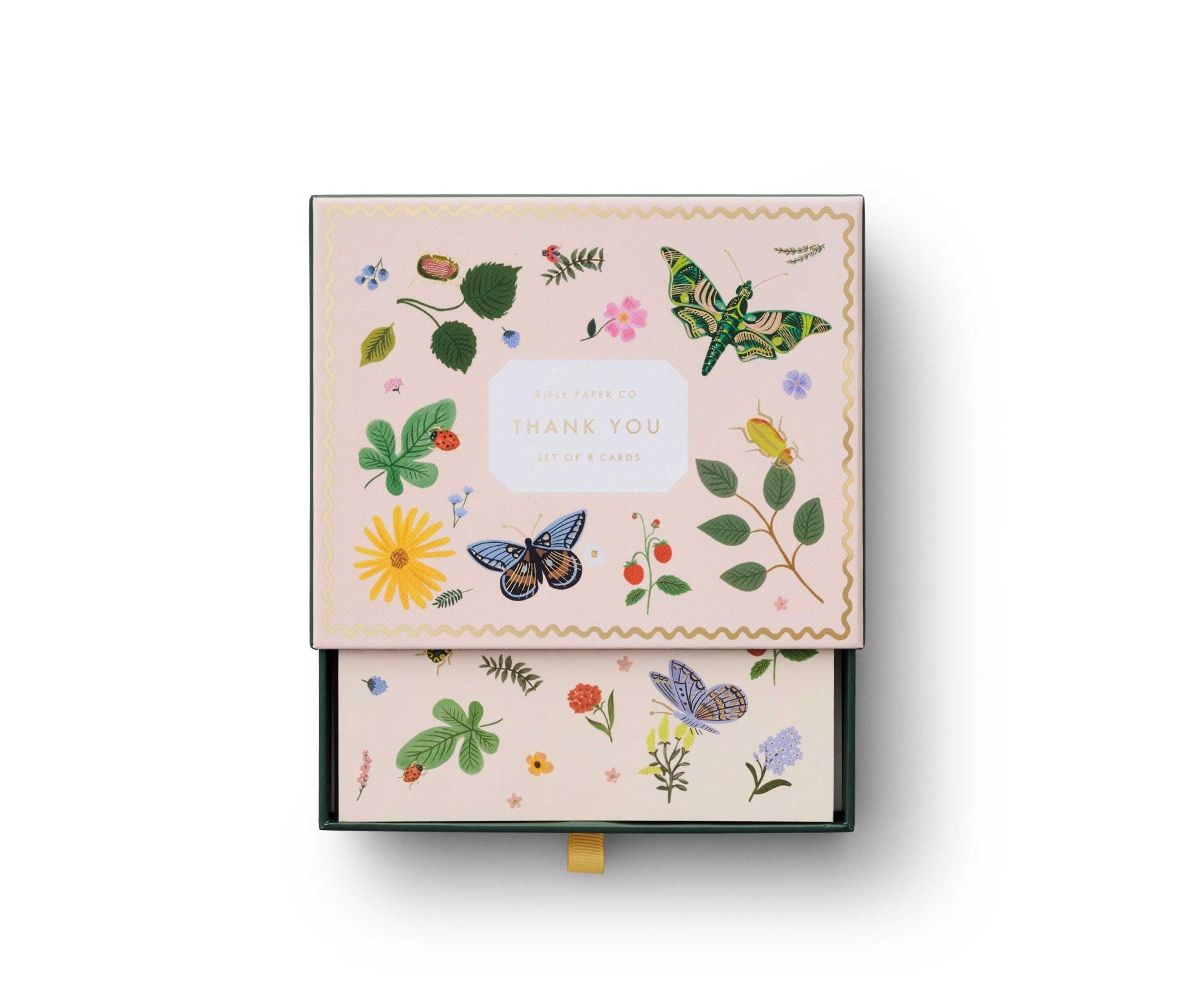 Caja con 8 tarjetas postales de Agradecimiento - Curio- Rifle Paper Co