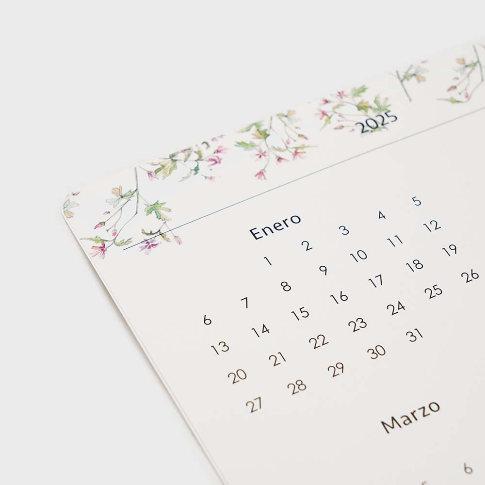 Agenda Mensual 2025 Castellano - 12 meses