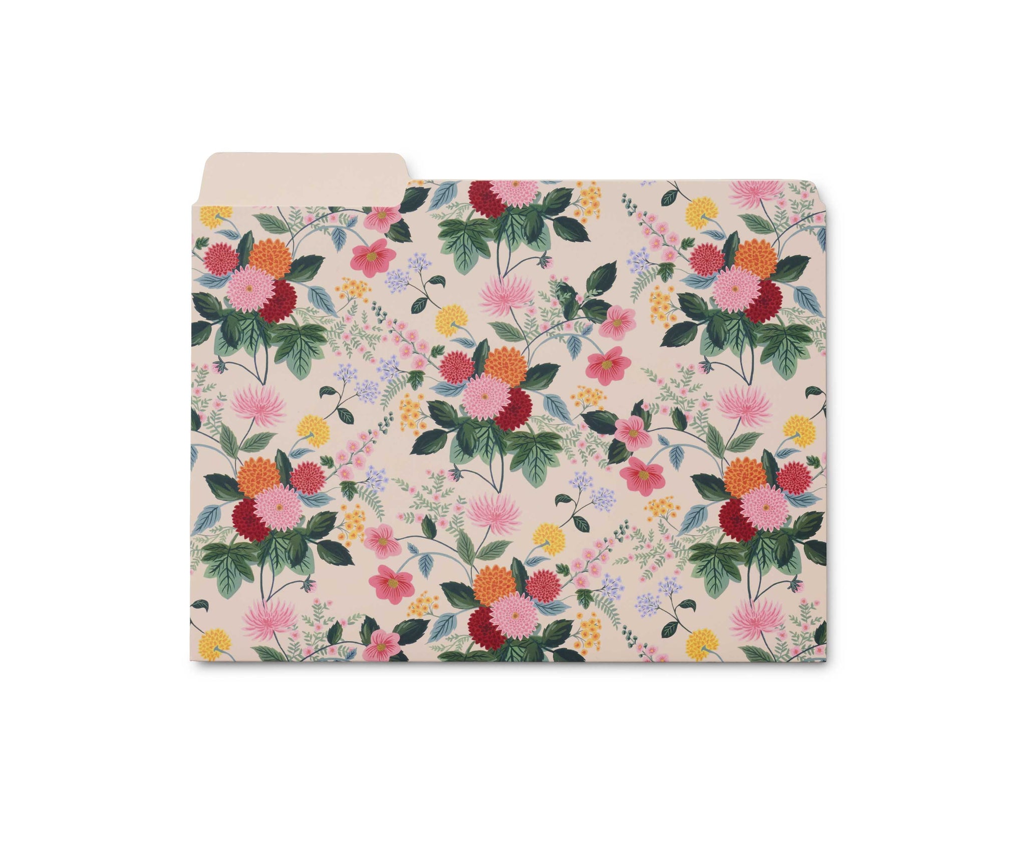 Subcarpetas Dahlia - Rifle Paper co.