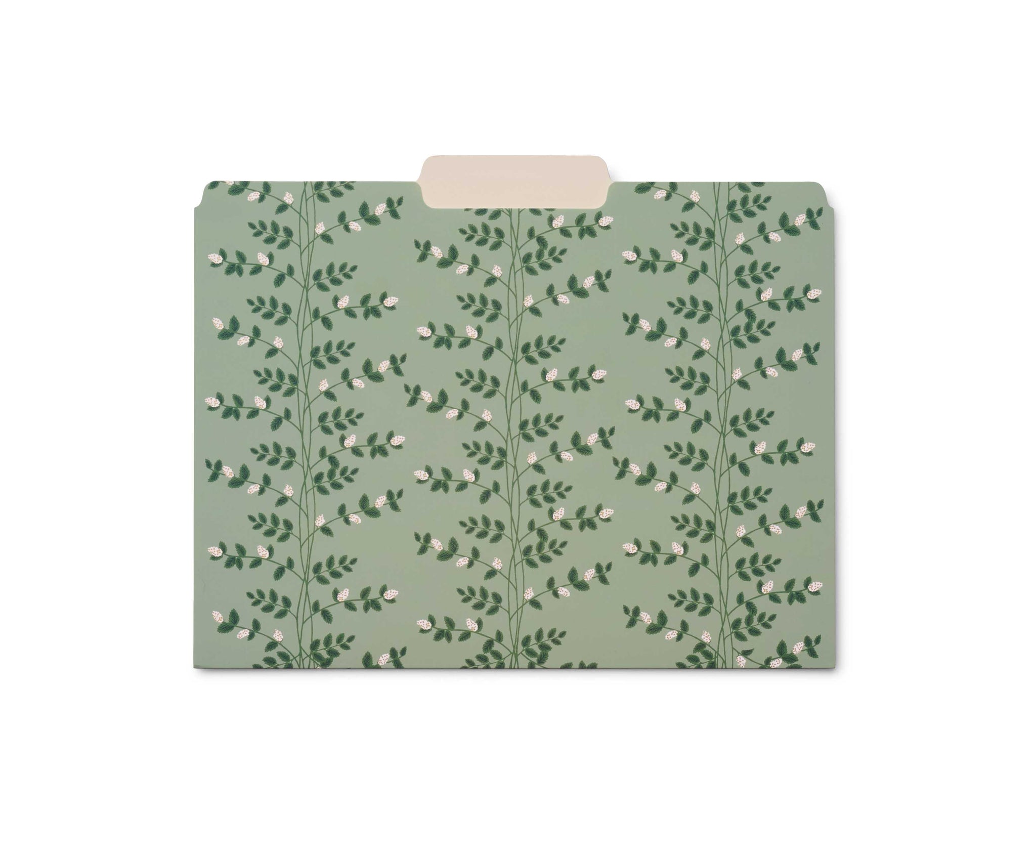 Subcarpetas Dahlia - Rifle Paper co.