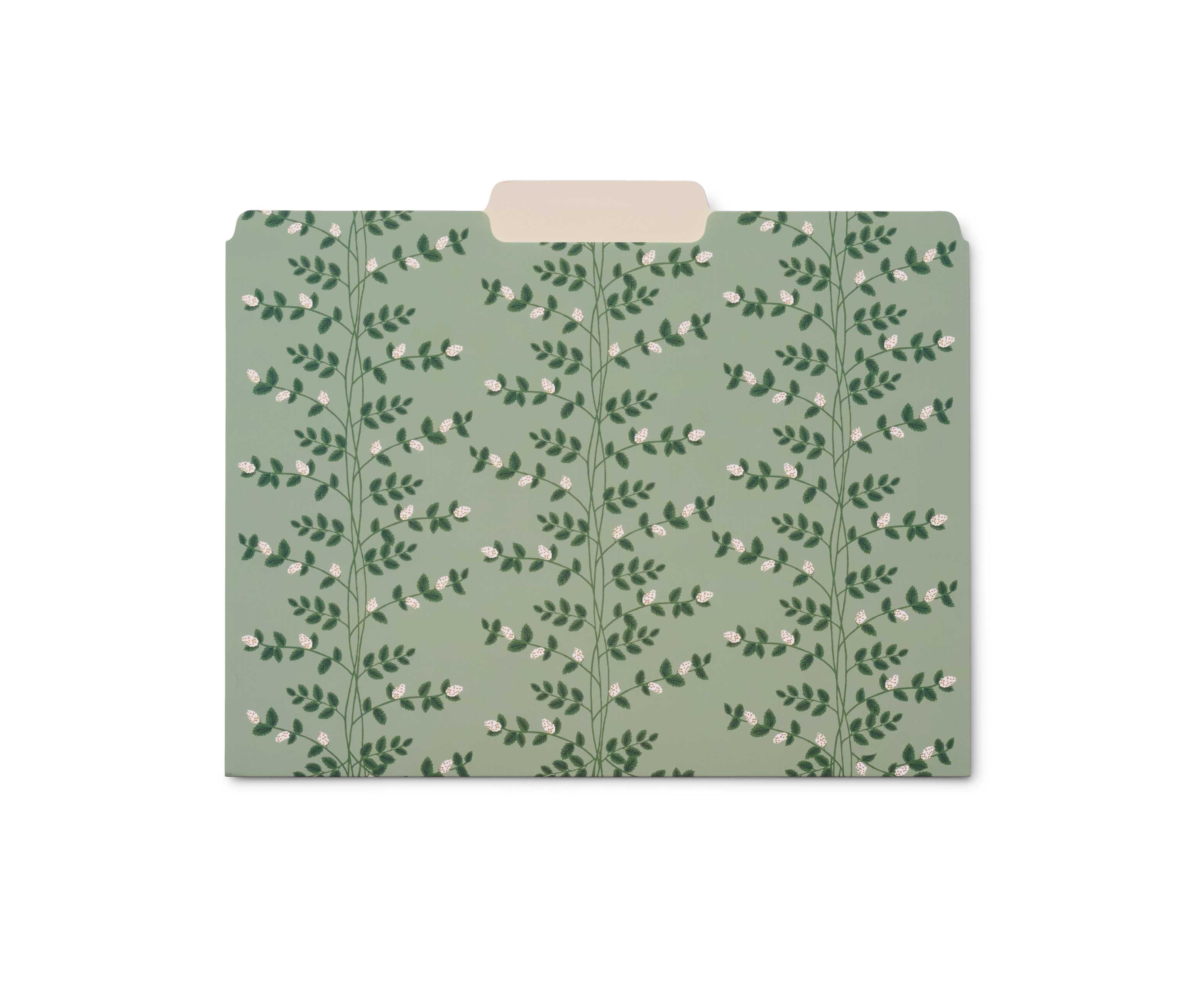Subcarpetas Dahlia - Rifle Paper co.