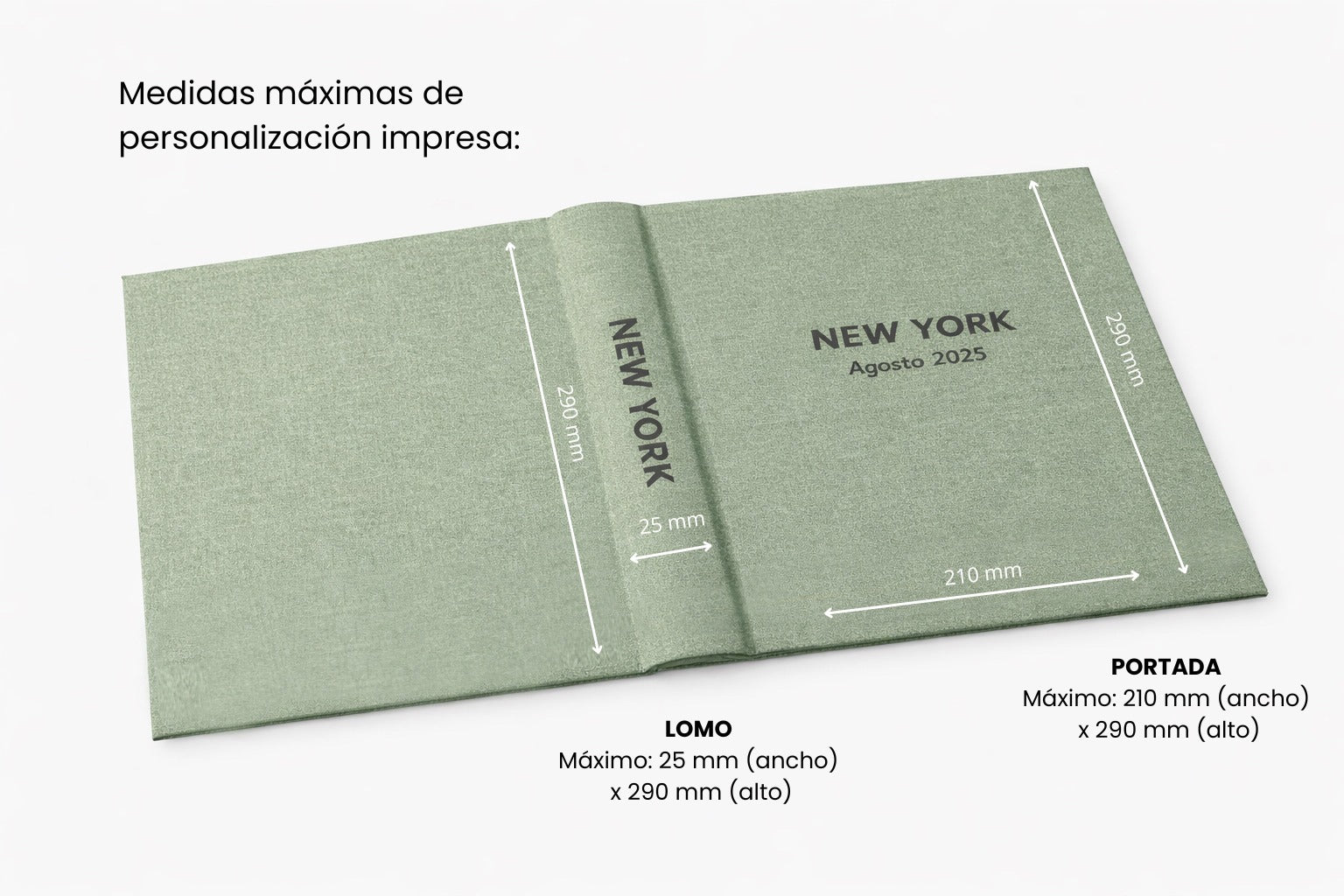 Ivory interior vertical photo album