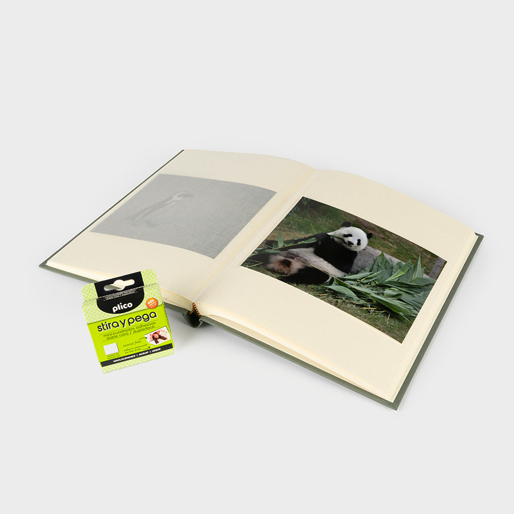 Ivory interior vertical photo album