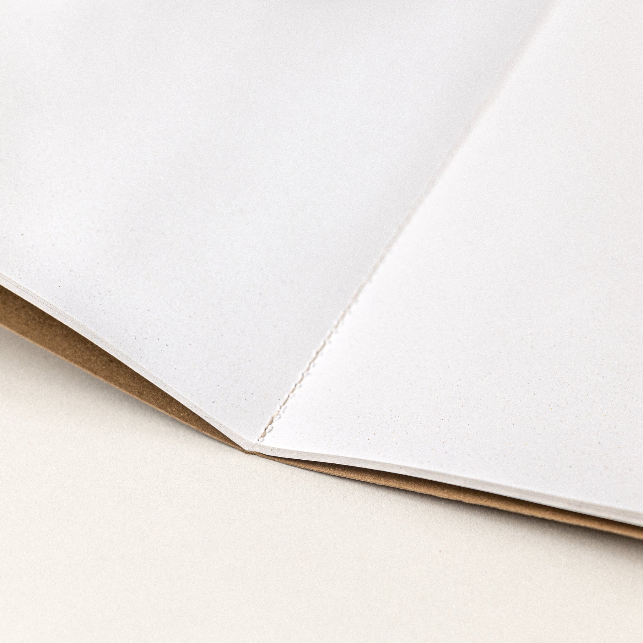 Hojas de pequeña libreta de notas de papel de avellanas
