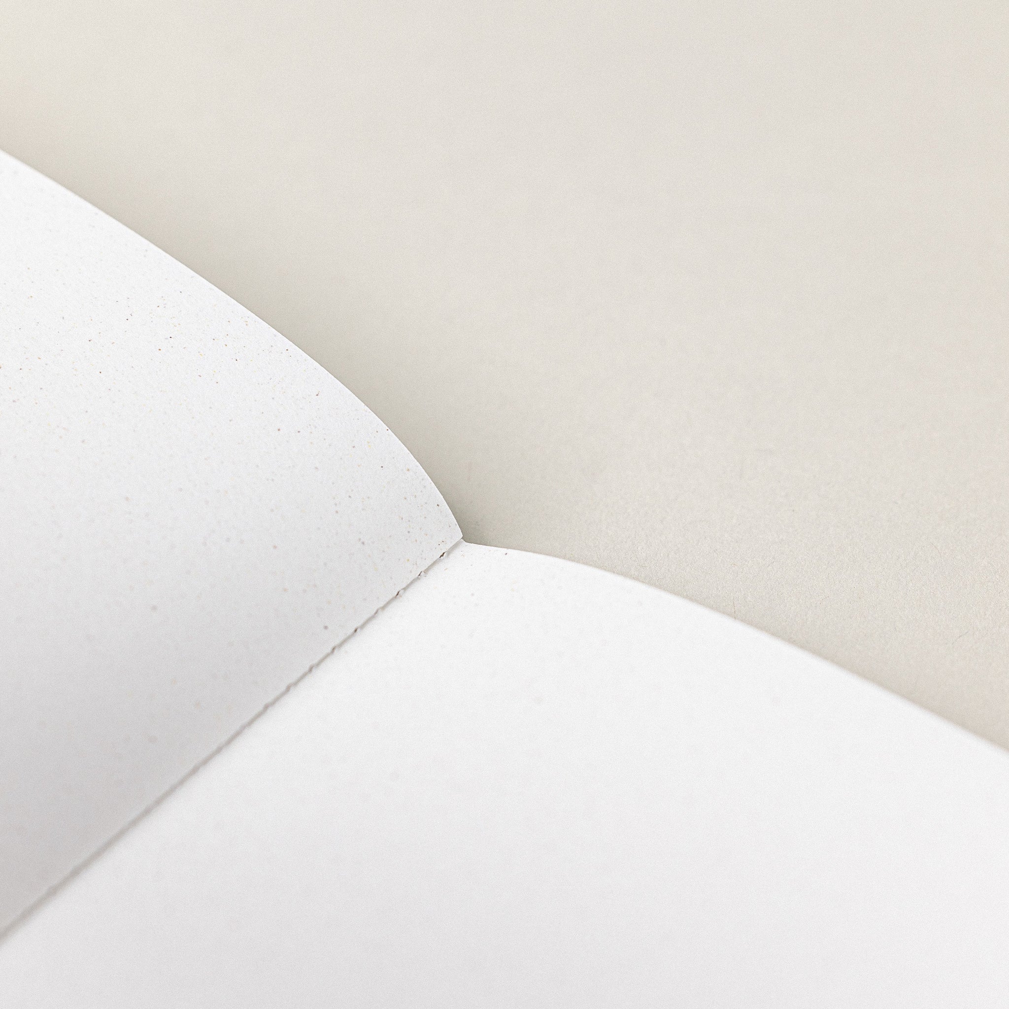 Hojas de pequeña libreta de notas sostenible