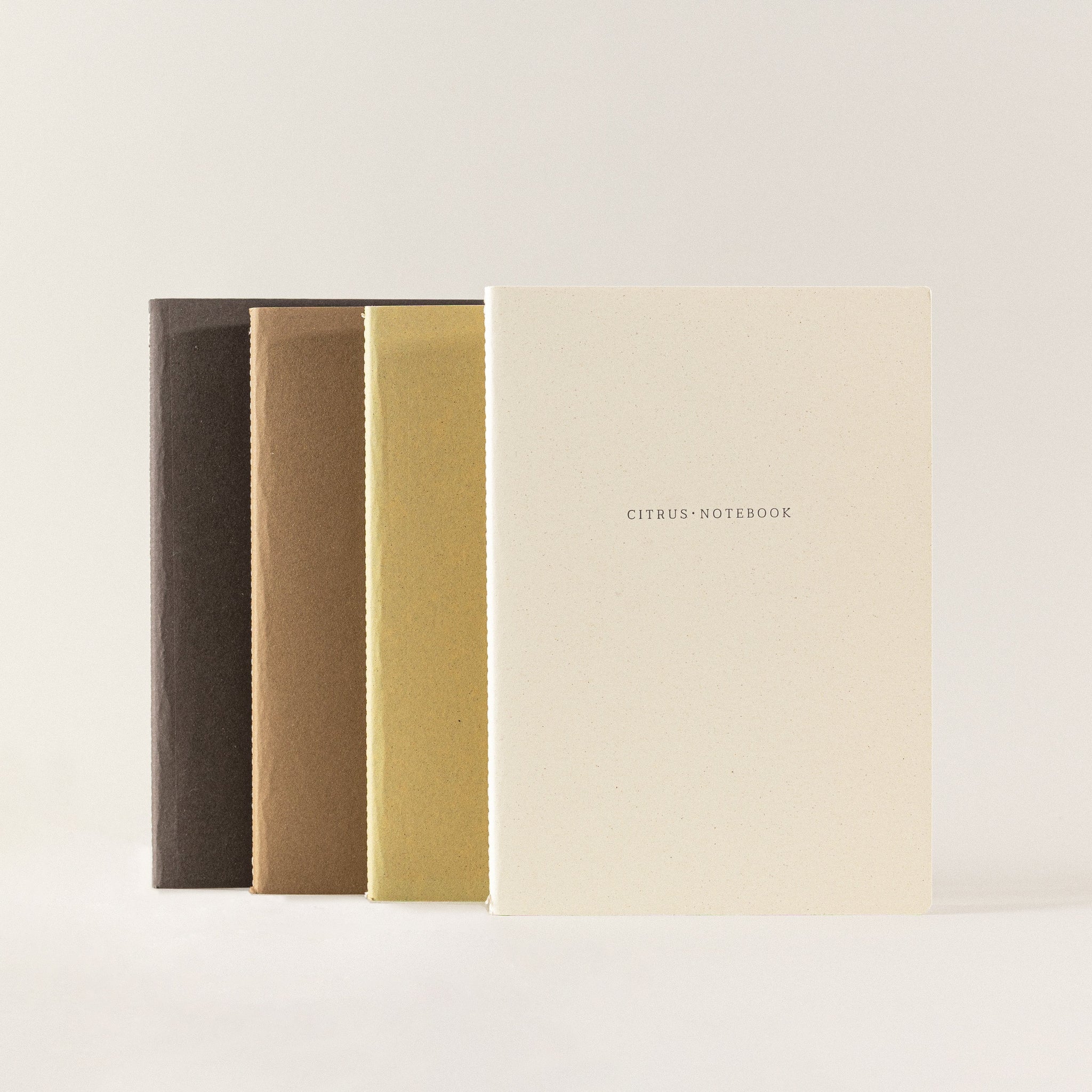 Pack de pequeñas libretas de notas orgánicas
