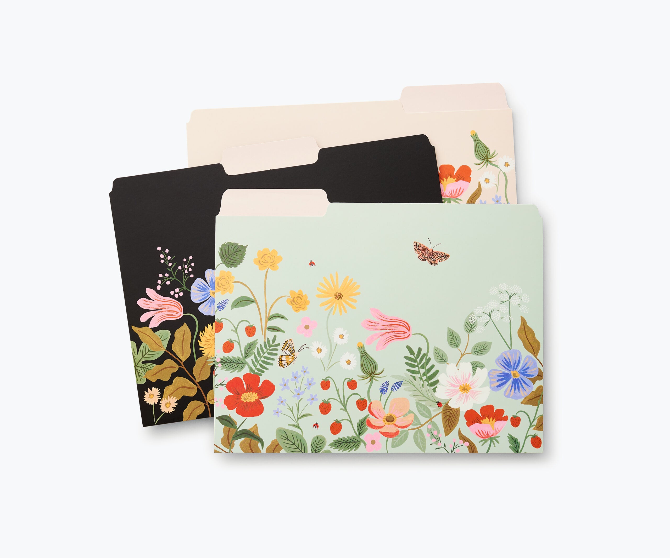 Subcarpetas Strawberry Fields - Rifle Paper Co