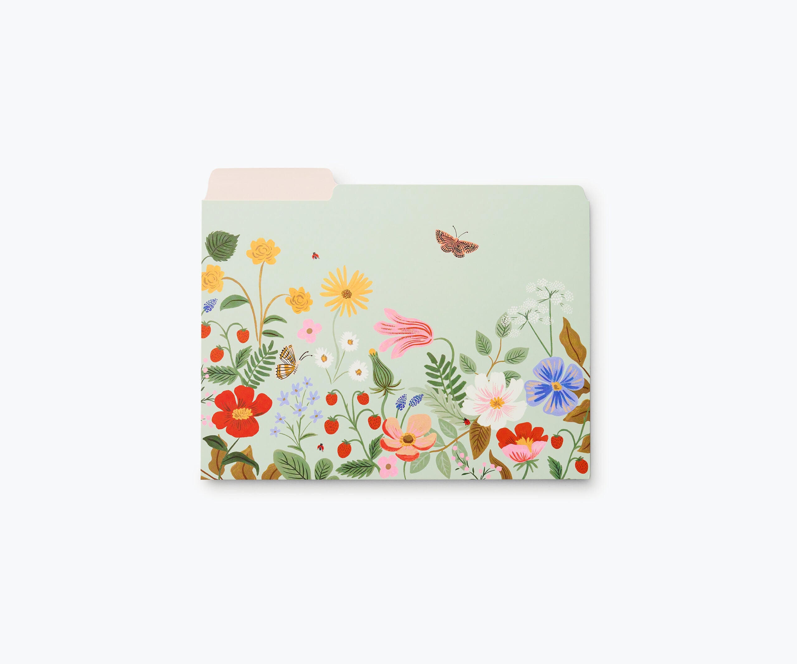 Subcarpetas Strawberry Fields - Rifle Paper Co