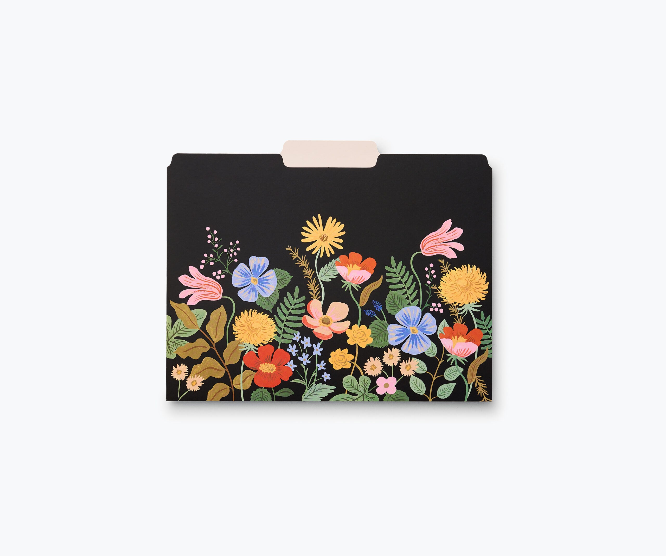 Subcarpetas Strawberry Fields - Rifle Paper Co