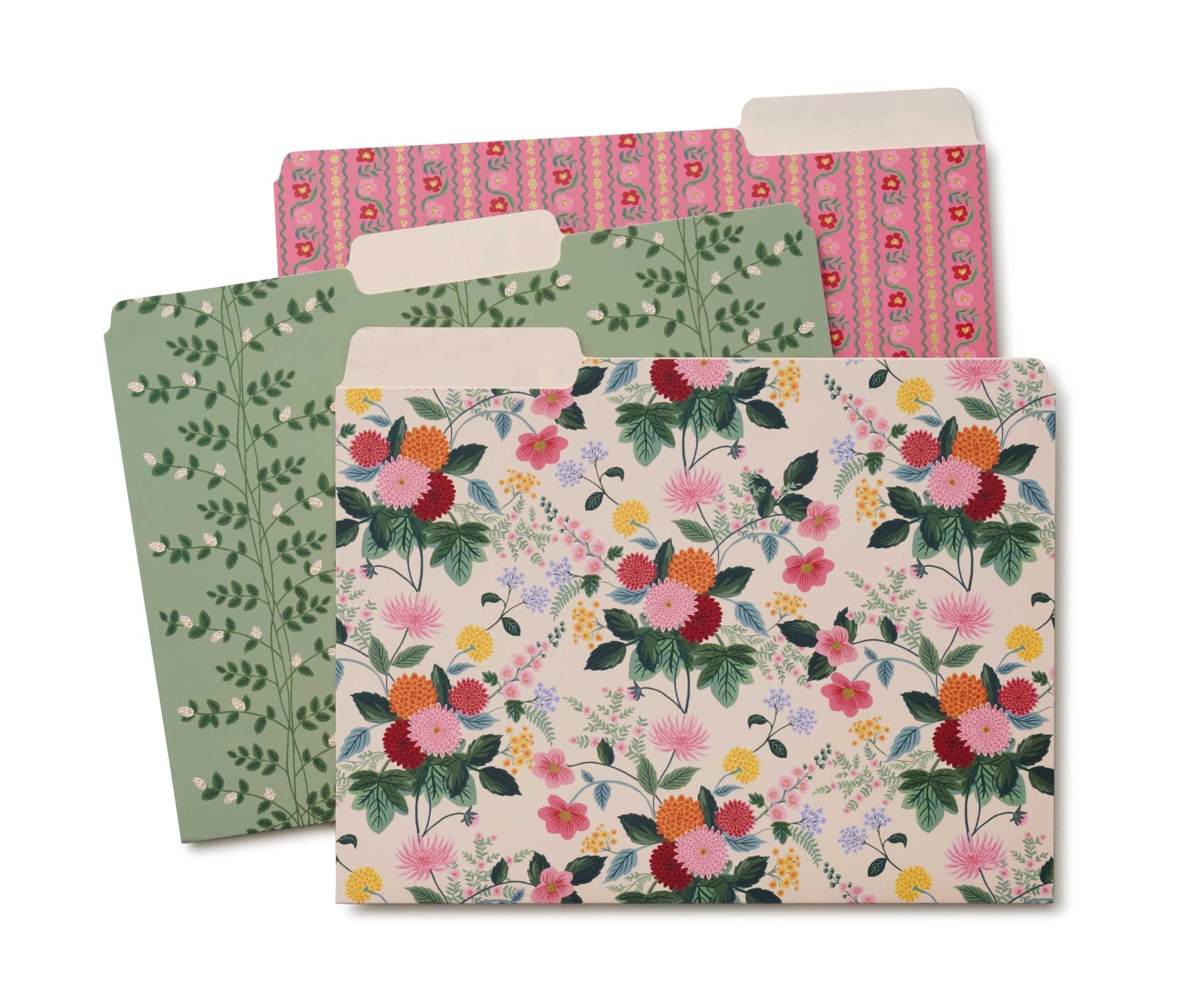 Subcarpetes Dahlia - Rifle Paper co.