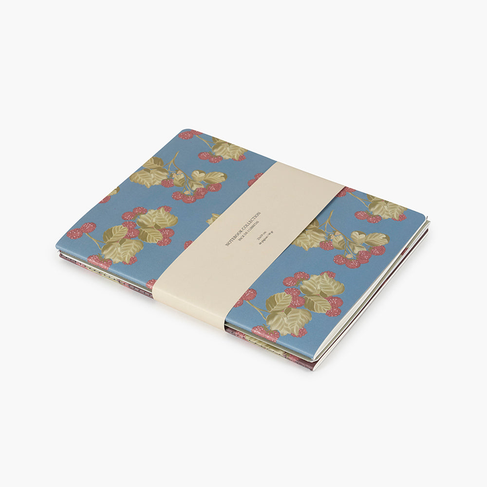 Pack 3 libretas cosidas Frambuesas 25x19cm - Pepa Paper