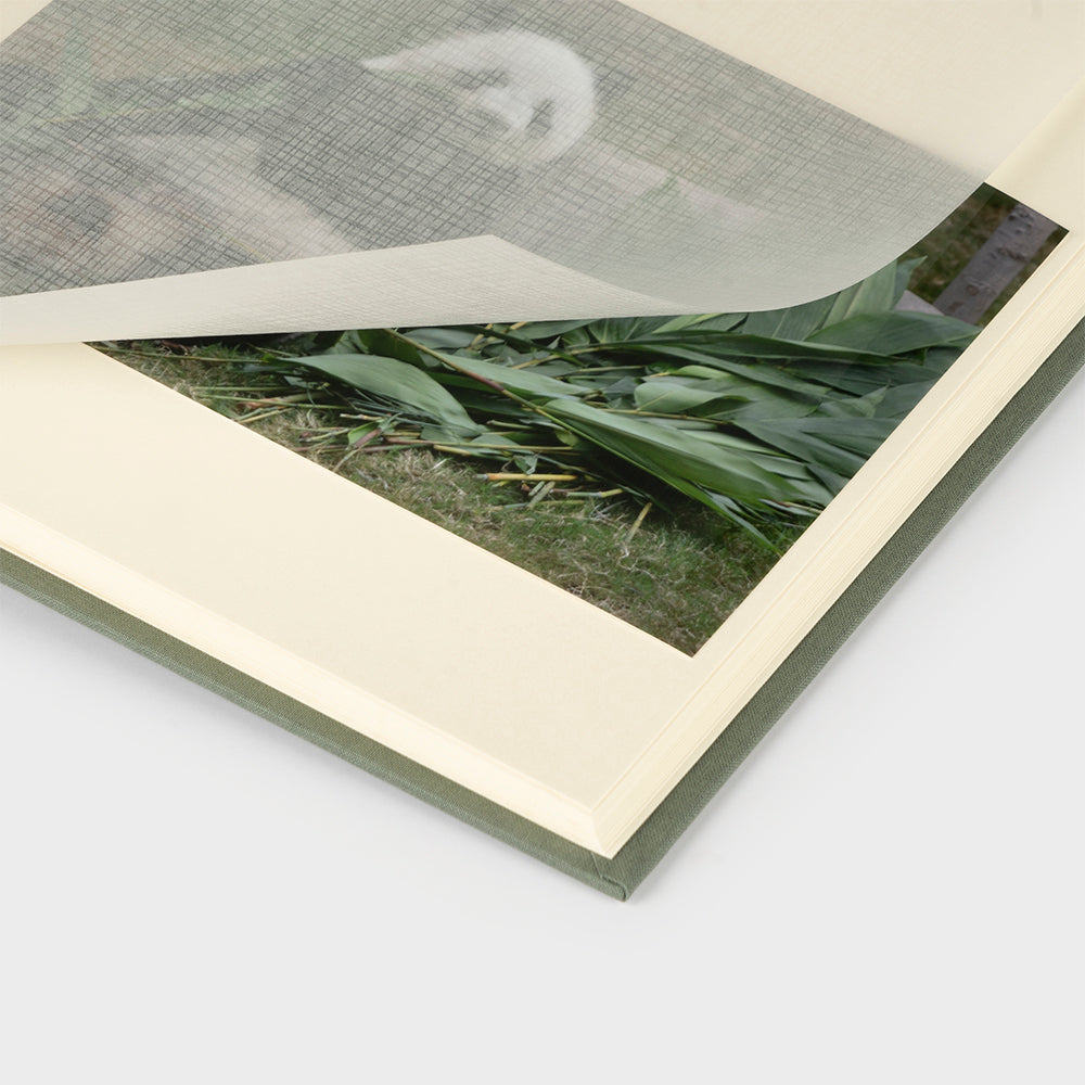 Álbum de fotos vertical interior ivory