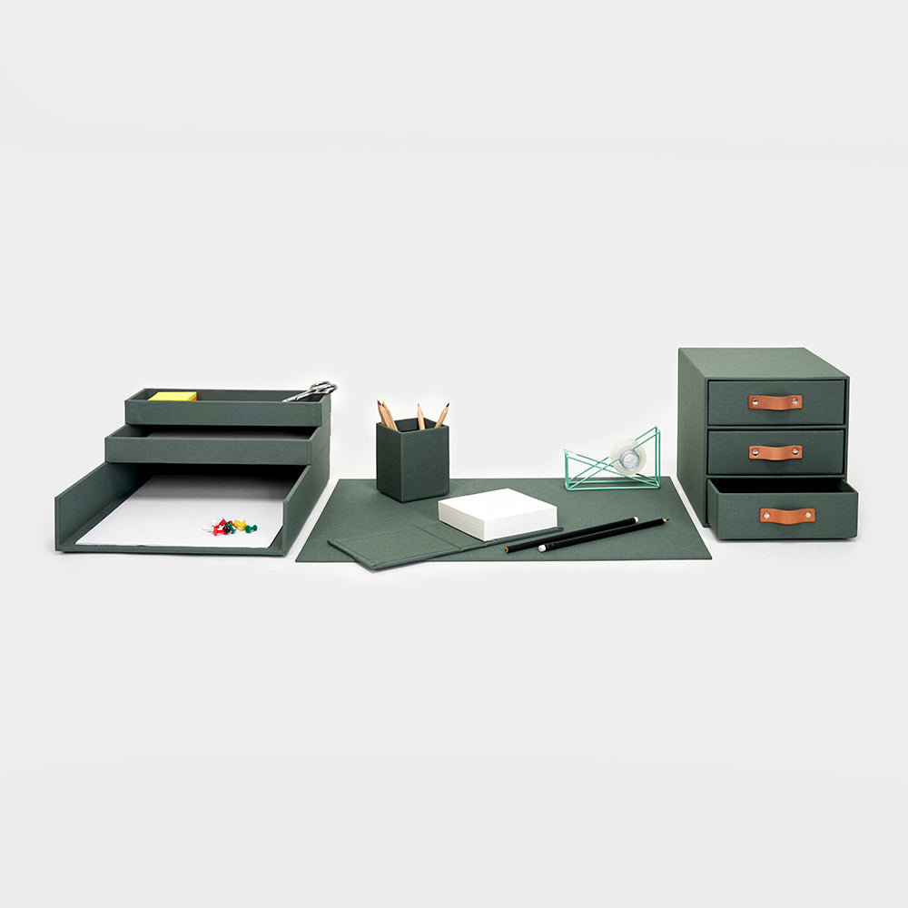 ORGANIZATION