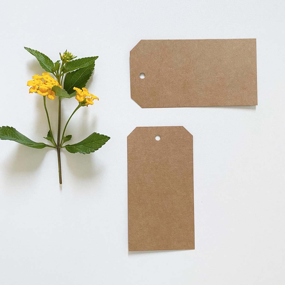Pack 6 etiquetas 60x113