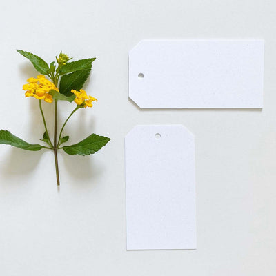 Pack 6 etiquetas 36x75