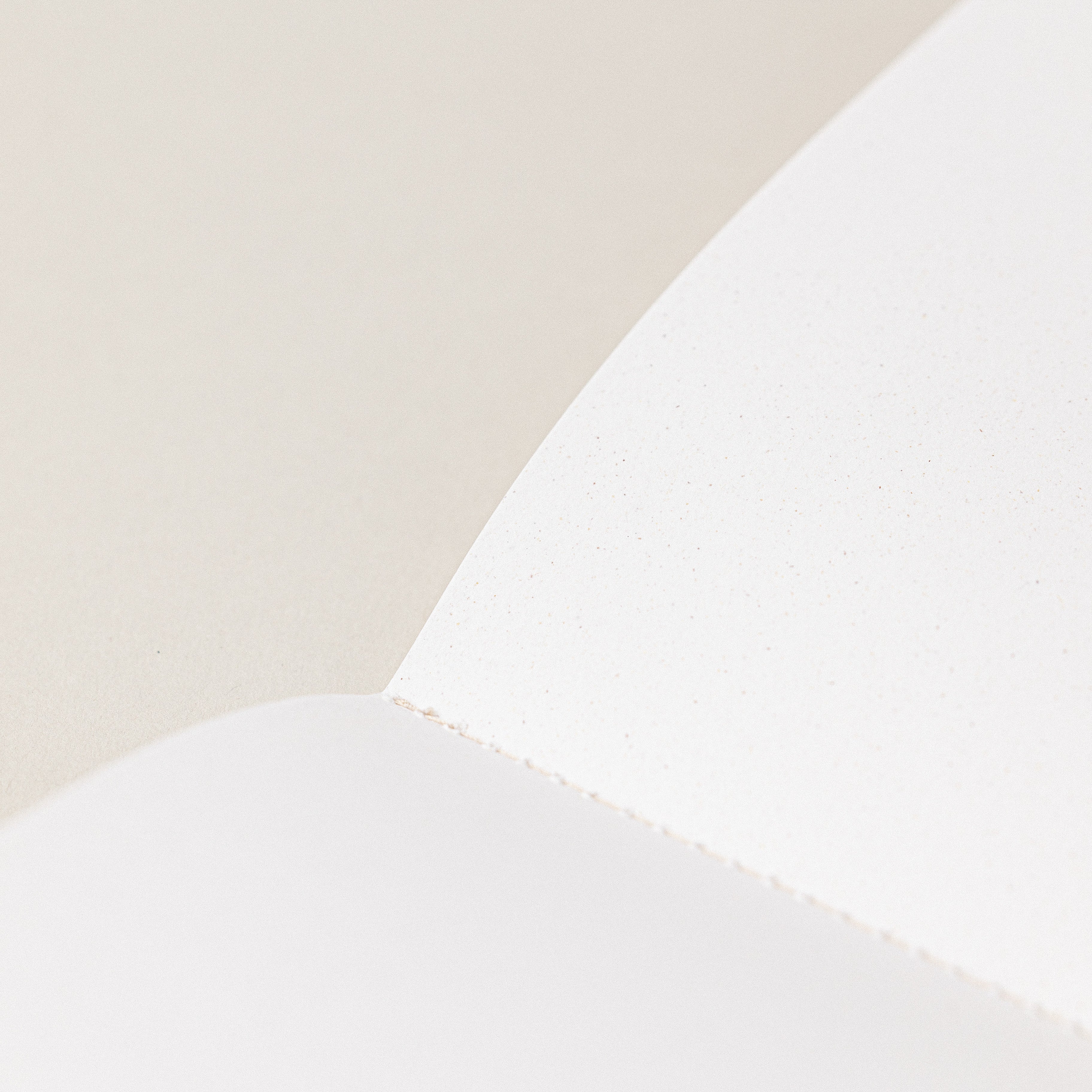 Hojas de pequeña libreta de notas de papel de cítricos