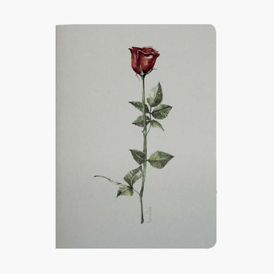 Sant Jordi notebook