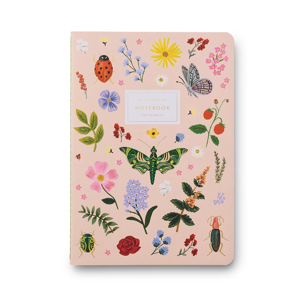 Pack of 3 Curio stitched notebooks - Rifle Paper