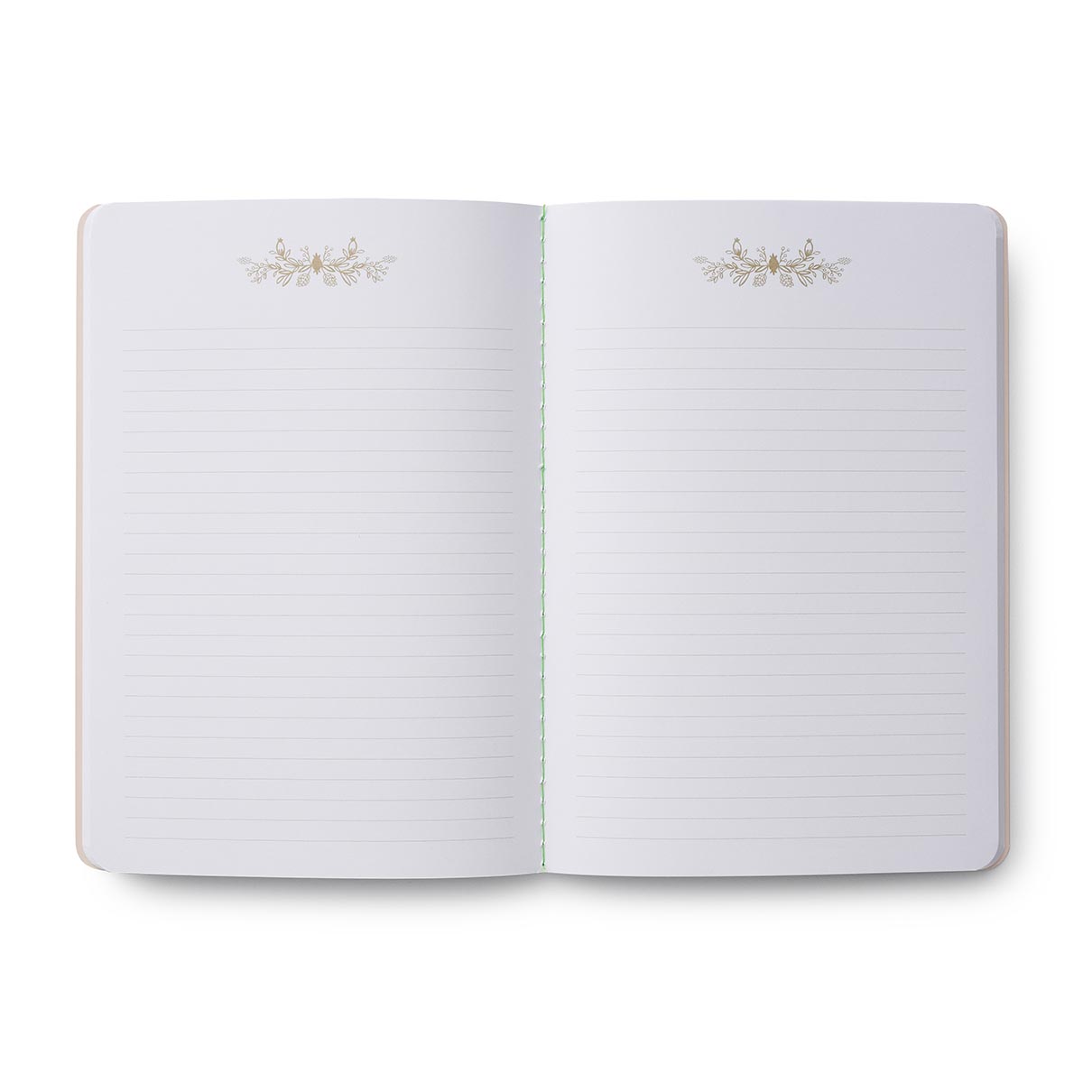 Pack of 3 Curio stitched notebooks - Rifle Paper