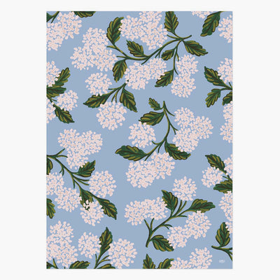 Paper de regal Hydrangea (1 full) - Rifle Paper