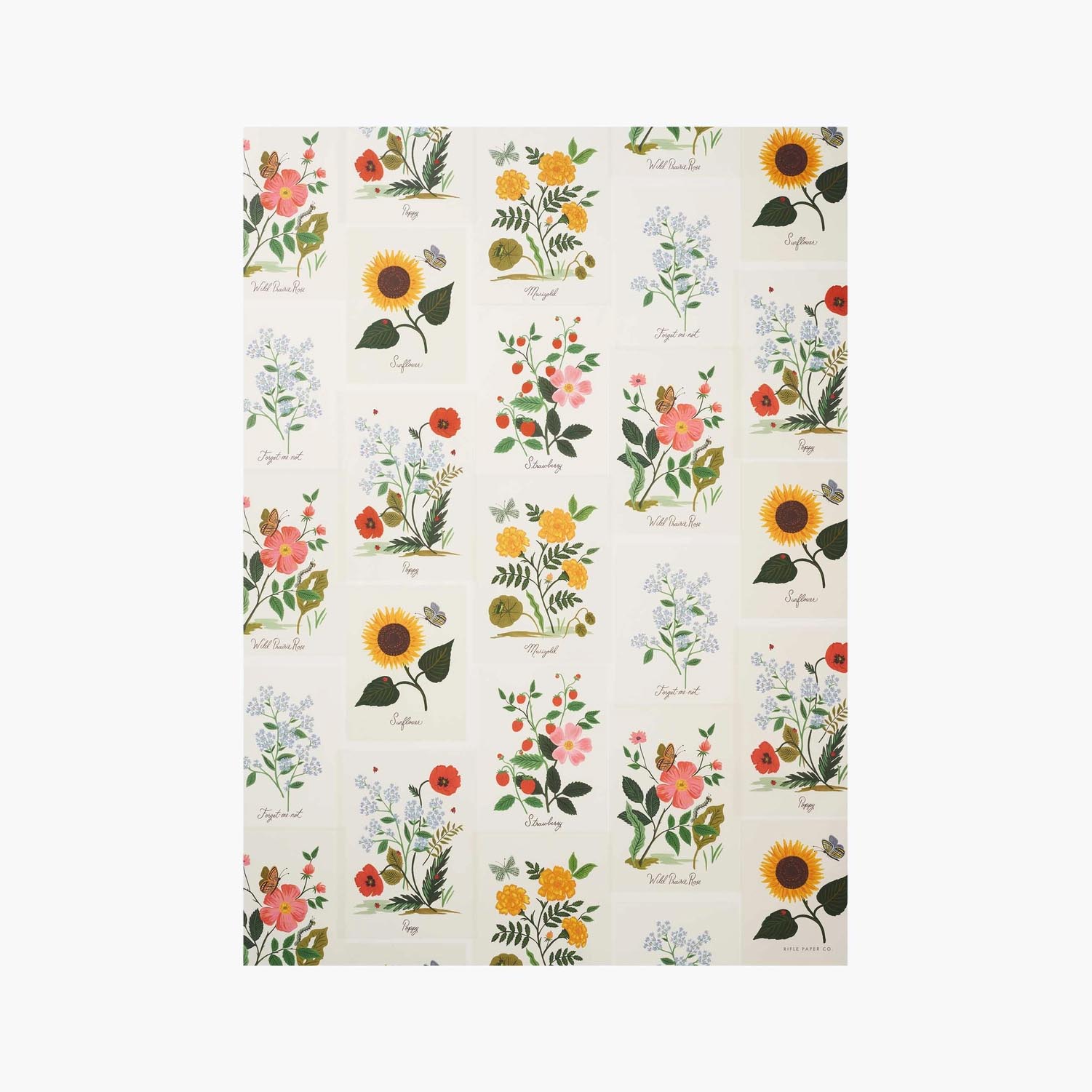 Papel de regalo Botanical - Rifle Paper Co