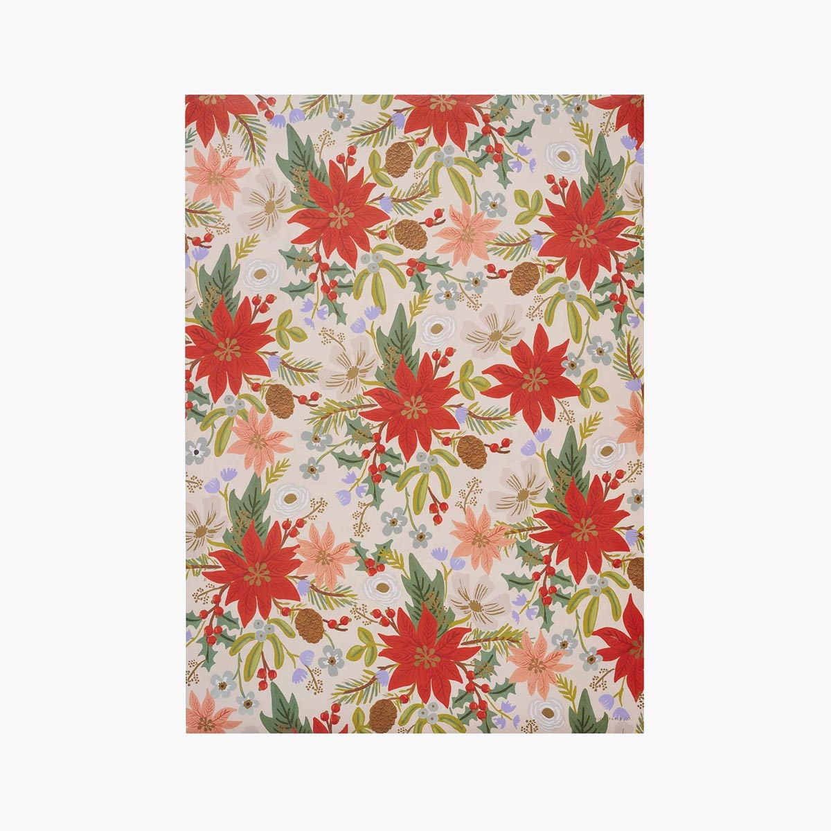 Papel de regalo Navidad Poinsettia - Rifle Paper Co