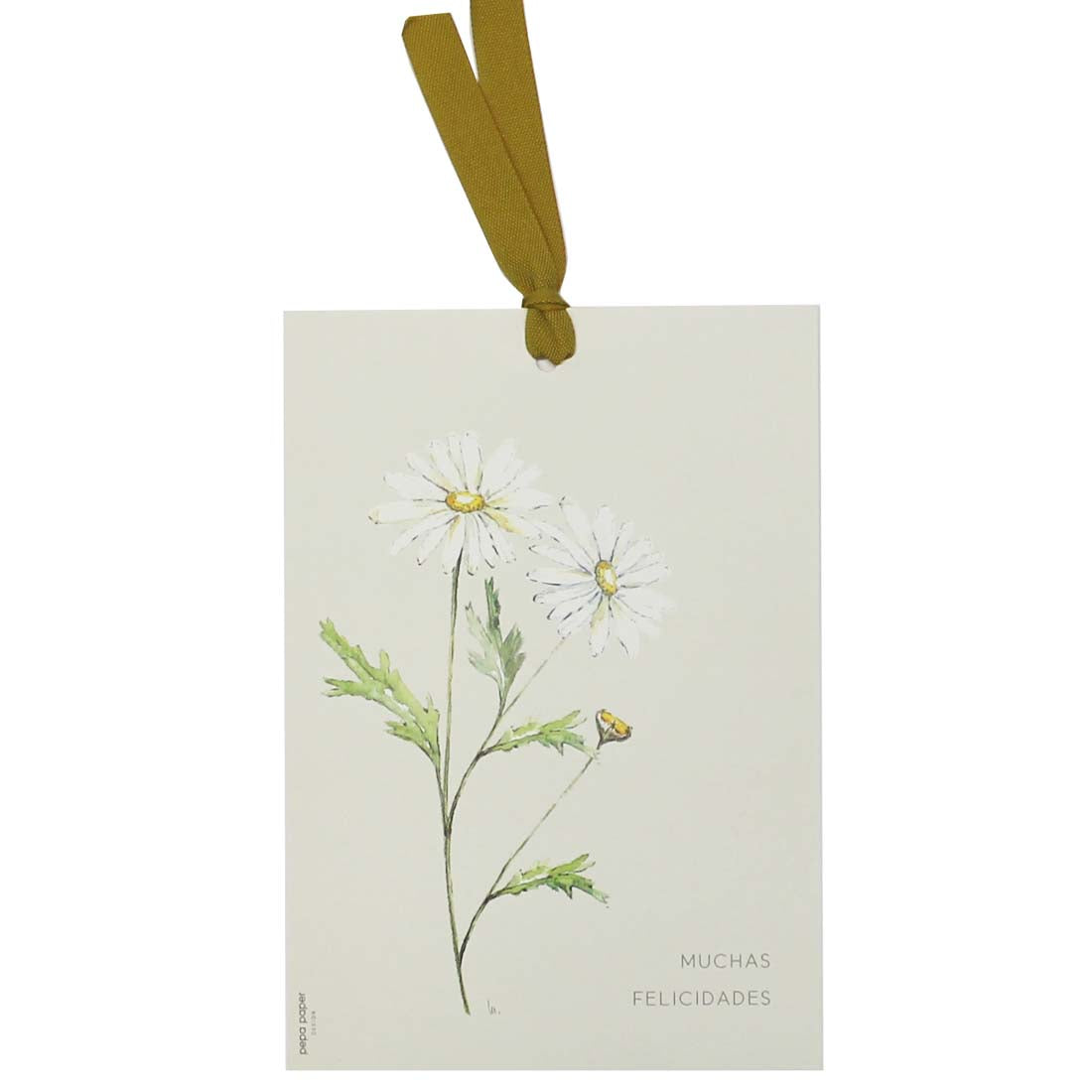 TAG A5 Daisies Congratulations