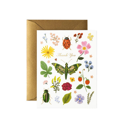 Tarjeta Postal Agradecimiento Curio - Rifle Paper