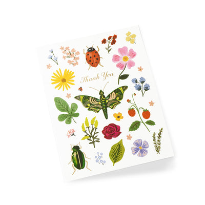 Tarjeta Postal Agradecimiento Curio - Rifle Paper