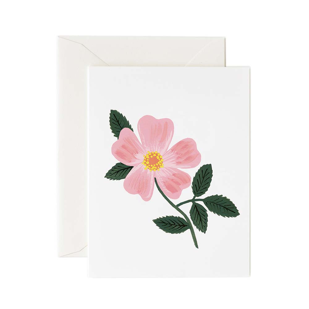 Tarjeta Postal Flor Wild Praire Rose - Rifle Paper