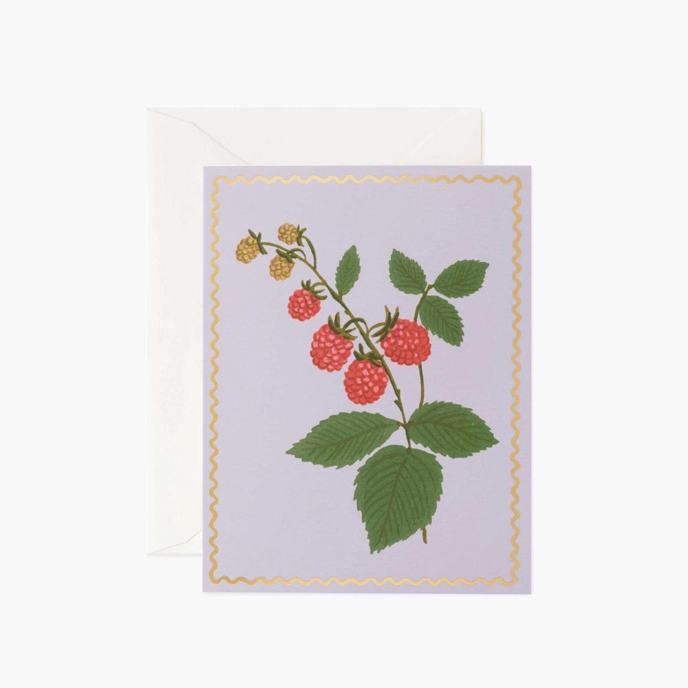 Tarjeta Postal Frambuesas - Raspberry - Rifle Paper Co