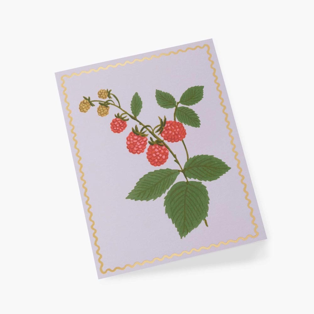 Tarjeta Postal Frambuesas - Raspberry - Rifle Paper Co