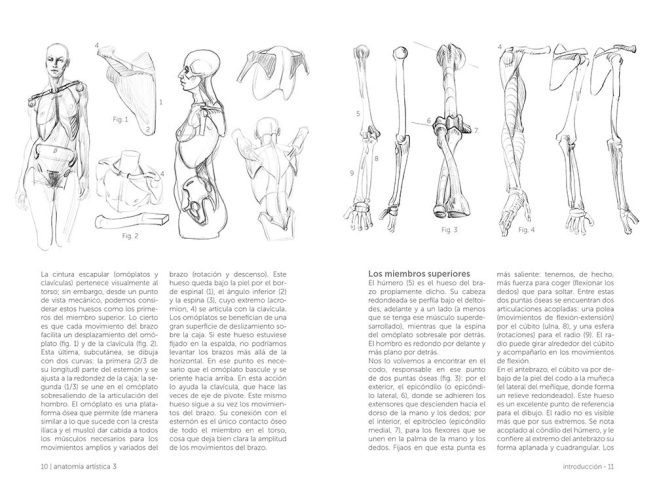 libro_anatomia_artistica_3_gustavo_gili_pepa_paper_ana.art.3_06